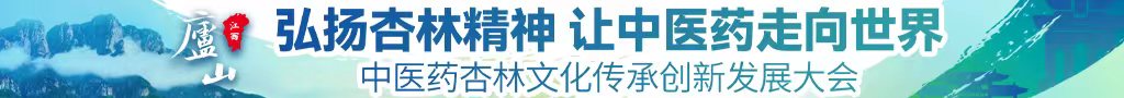 鸡巴操b视频中医药杏林文化传承创新发展大会